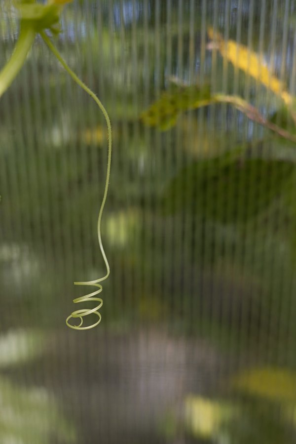 Comment les formations en gestion d'équipe peuvent-elles être adaptées pour les managers à distance ?